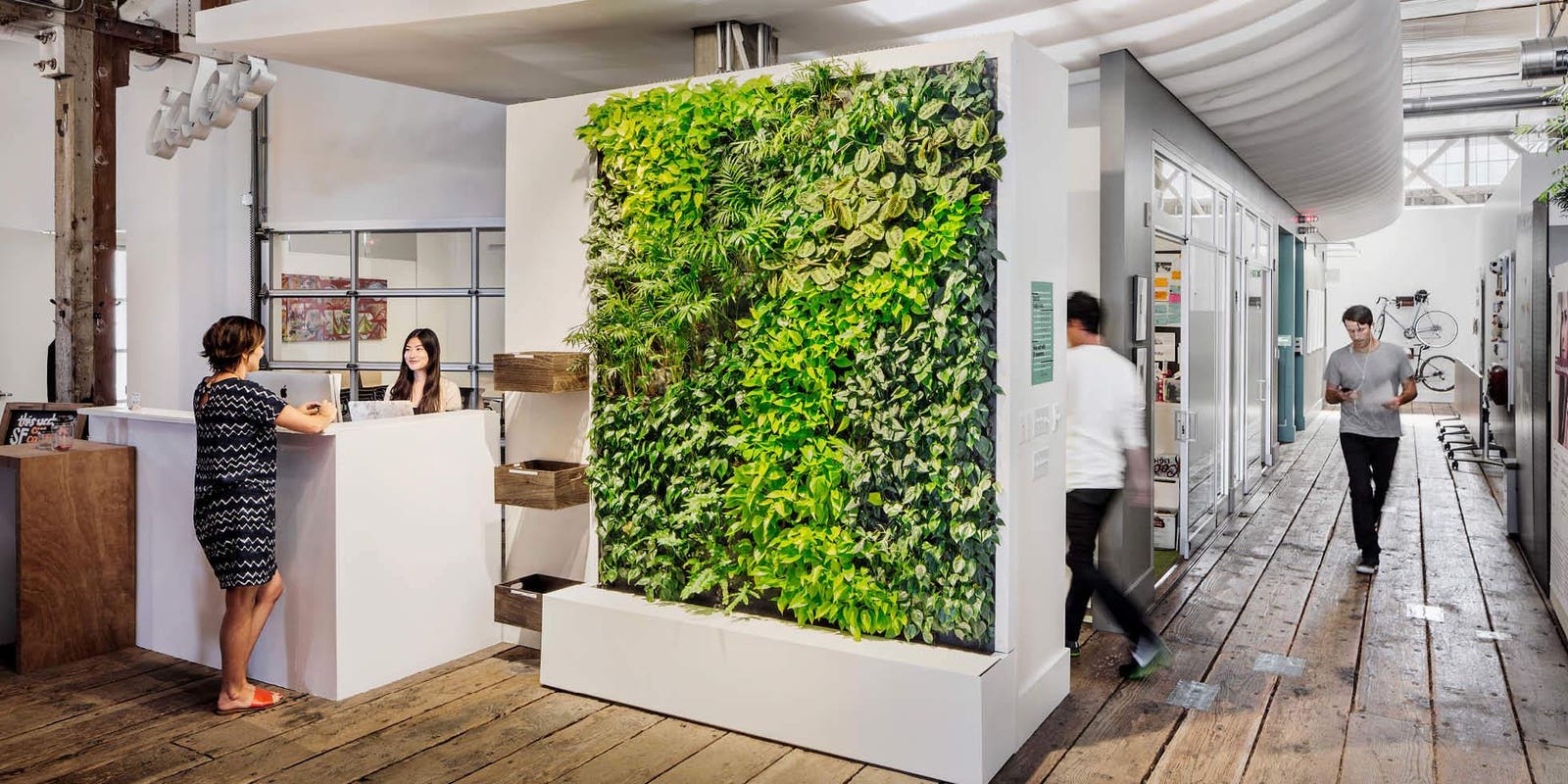 Interior moderno del coworking con plantas y luz natural